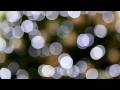 videos de Manual focus video with EOS 5D Mark II