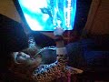 Veve goes kn�pp