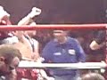 alfonso-gomez-newcastle-arena.html