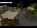 videos de Runescape Robber