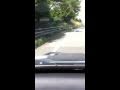 樹海ドライブ