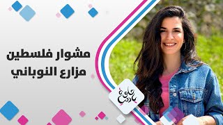 شو خضار وشو مناظر، وأحلى شي المشهد الاخير في جولة لمى أبوهلال في مزارع النوباني شو خضار وشو مناظر، وأحلى شي المشهد الاخير في جولة لمى أبوهلال في مزارع النوباني