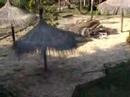 Isla Perse Isla Perse