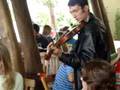 videos de Pajaro Campana no Violino