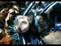 Sean and Rocky, my autistic son and his ferret