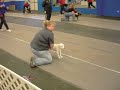 ... at the All Dogs Flyball Tournament, January 3, 2009.

Starring Ralph, Alex, Winston, Buster, Tegan, Hunter, and Freddie.