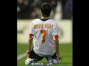 Guaje Villa