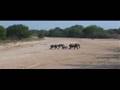 ellies crossing dry riverbed