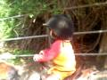 videos de Poneying...