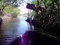 En Tacarigua de la Laguna