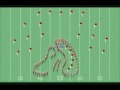Boston Crusaders 2009 