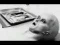 autopsia a un extraterreste-roswell -mexico autopsia a un extraterreste-roswell -mexico
