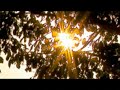 Franz Schubert - Schubert: Lieder - Goldner Schein deckt den Hain (D 357)