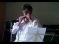 harmonica - In the Mood + medley rock à l'harmonica chromatique
