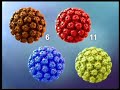 GARDASIL Mecanismo de Ac��o