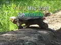 Honda ATV, & Off Road Motorcycle  Video.. Are You Ready?  Sports Safety Safety Issues