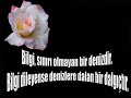 mevlana-ve-ney.html
