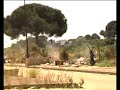 il termine fasullo dell'emergenza