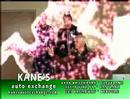 Kanes Auto Exchange Buy Here, Pay Here Used Cars