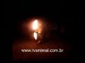 samsara 2006   ediã§ã£o uberlã¢ndia