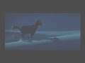 horse complication