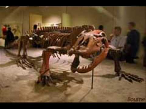 megalania