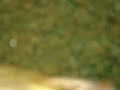 Thumbnail #3