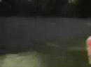 Whammo Yard Demon