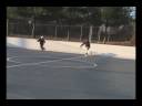 Rapid Fire Game Part 1 Rapid Fire Game Part 1