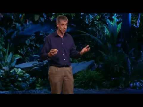 Why do we have brains?