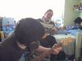 videos de Plug in Baby cover