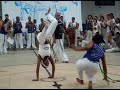 SL731168.AVI SL731168.AVI
