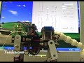 Pleo, the early days. Clip 11