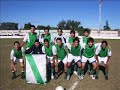 las flores de primera