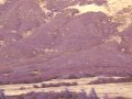 hang-gliding-mcclureyou-know-himyou-love-himheers-brian.html