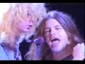 guns n´ roses   fredy rose