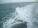Vaporetto