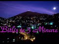 Thumbnail #1