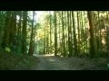RUNバージョン.mpg