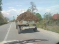 strellci bekim celaj