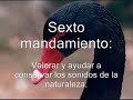 10 mandamientos para compartir el Planeta con los Animales 10 mandamientos para compartir el Planeta con los Animales