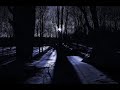 Franco Battiato - Stranizza d\