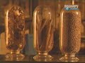 Asi Se Hace - Licores (LECG)