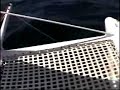 Farrier F-41 Sailing Catamaran