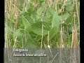 Conozcamos el Campo_Bloque_01