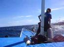 Alona beach Divemaster Training