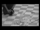 un grave delitto - Il caso V2 Day