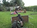 Fools With Guns