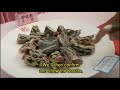 Concurso de cocina viva en china - Impresionante