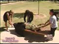 Woman pulled in half - both halves alive!